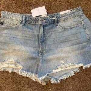 Denim Distressed Women Shorts
